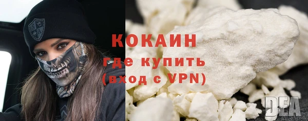 индика Абинск