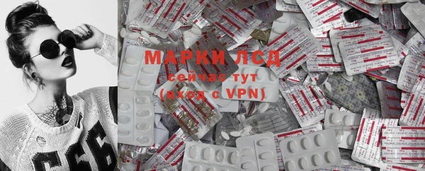 крисы Абдулино