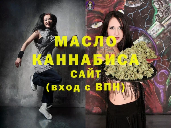 индика Абинск