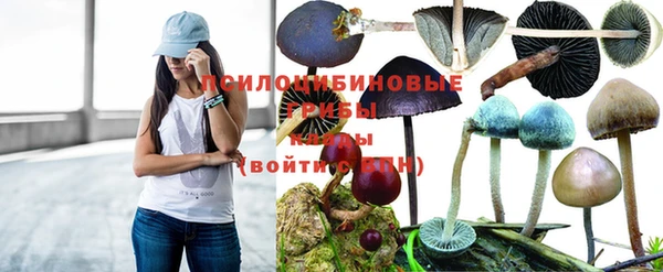 мескалин Нефтегорск