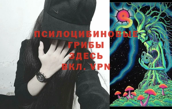 индика Абинск
