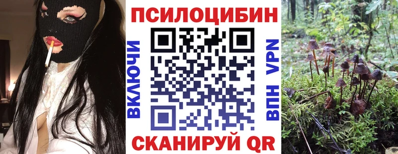 mega ТОР Уварово Галлюциногенные грибы Psilocybine cubensis